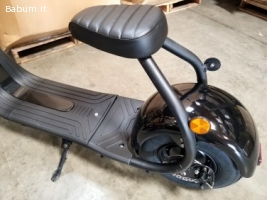Citycoco 18AH 16V electric scooter
