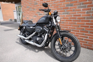 Harley-Davidson Sportster XL883N Ir